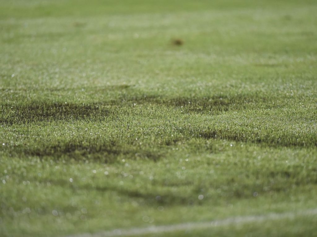 La cancha del estadio Jorge "Mágico" González se vio dañada por la fuerte tormenta que cayó en la capital. Foto Miguel Lemus