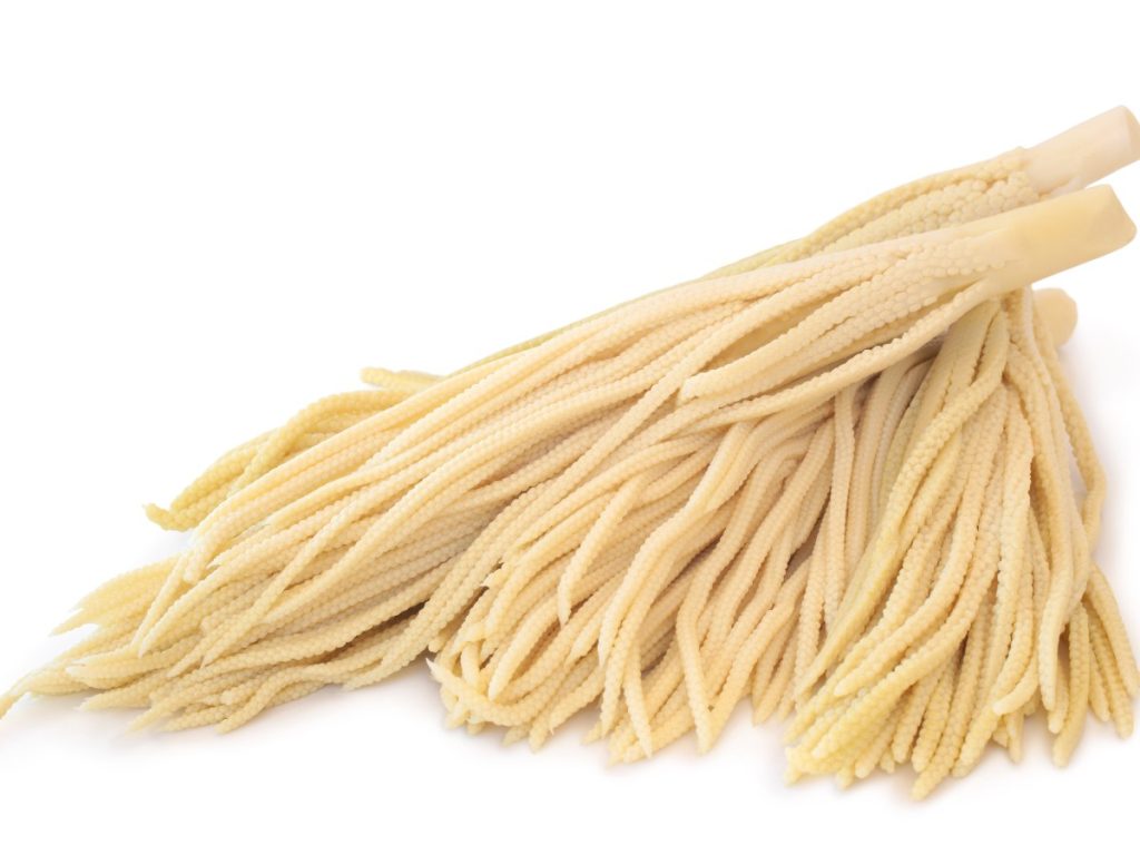La pacaya se caracteriza por su sabor ligeramente amargo y suele prepararse capeada o en encurtidos. Shutterstock