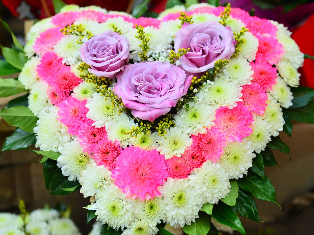 flores-san-miguelito