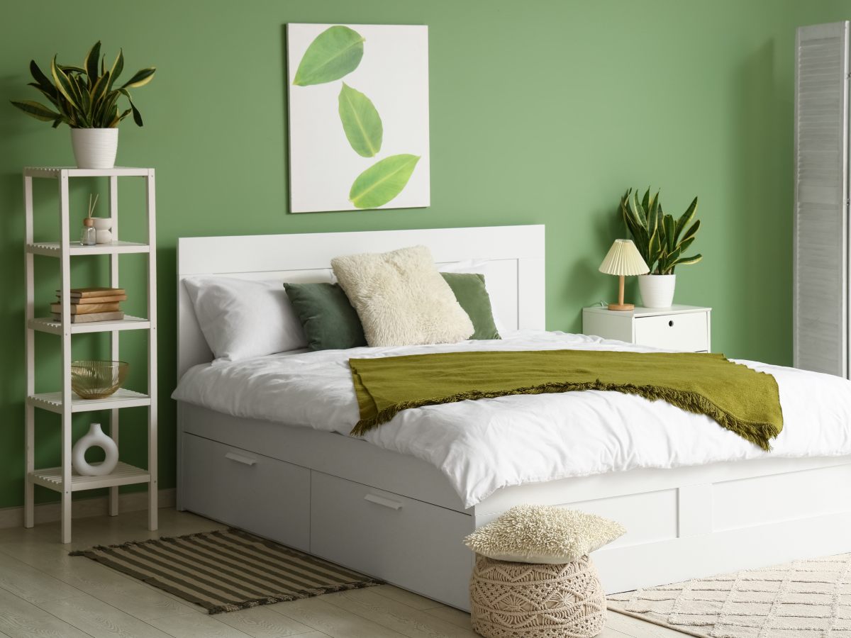 Dormir con plantas no mejora el sueño por sí solo, pero puede crear un ambiente más agradable y relajante para descansar.