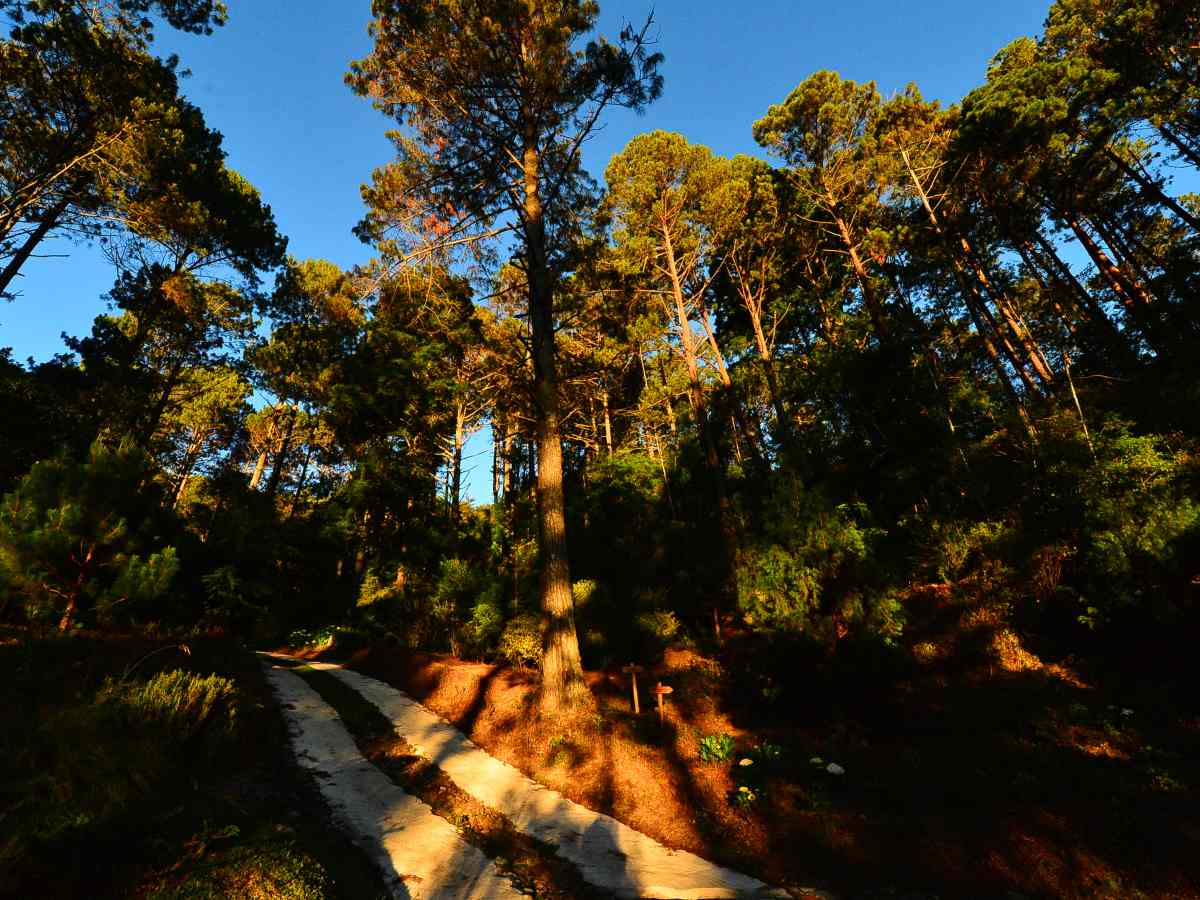 Miramundo esconde un refugio único llamado La Burbuja