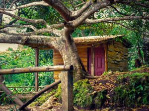parque-espino-naturaleza01