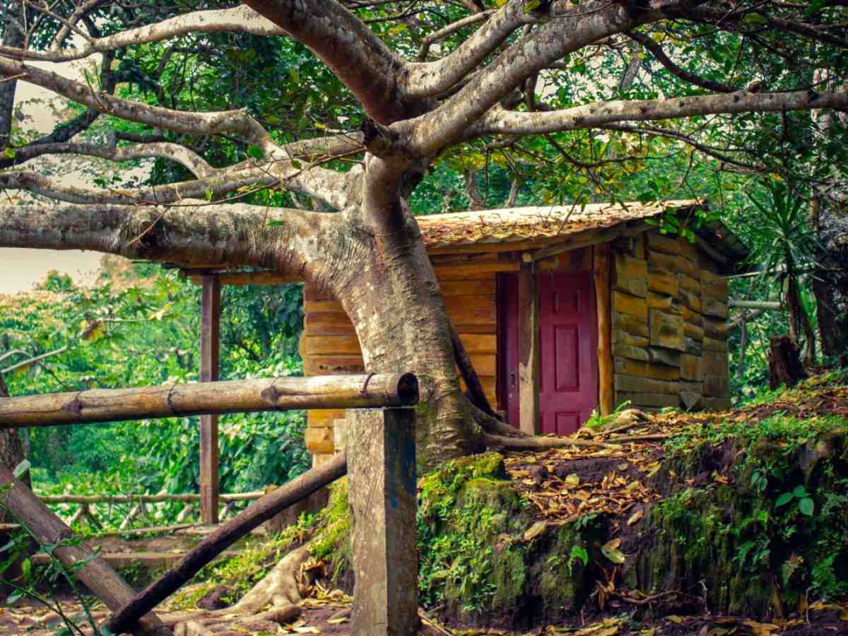 parque-espino-naturaleza01