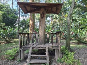 Entre árboles, calma y actividades como el Farmer’s Market, el Parque Maquilishuat se consolida como un rincón para vivir lo local en San Salvador.