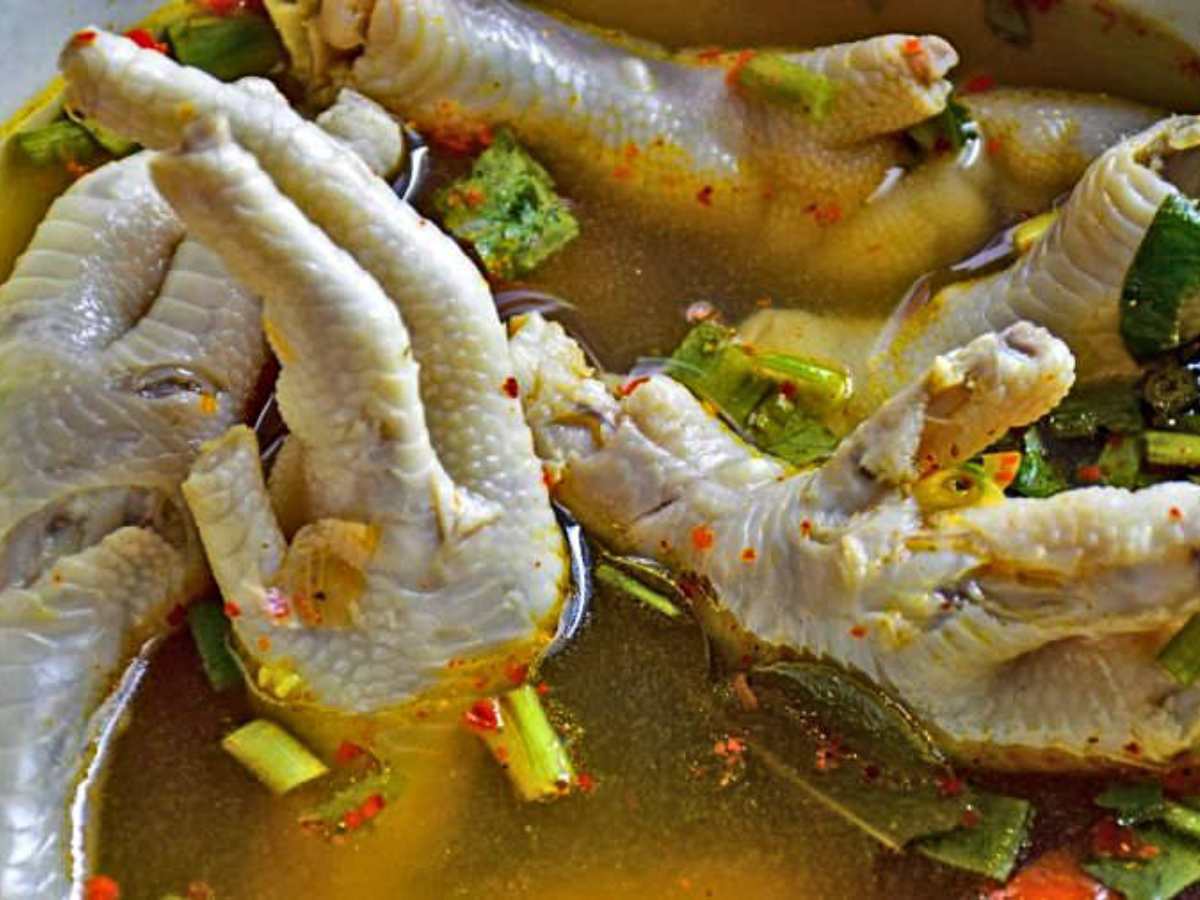 Patas de pollo, el manjar que te puede mantener joven y saludable. Foto/ Shutterstock
