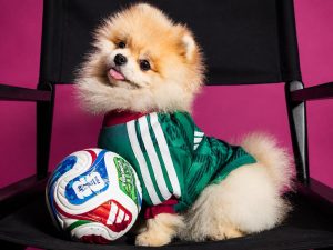 perro-mundial-camisetas-fútbol-mascotas