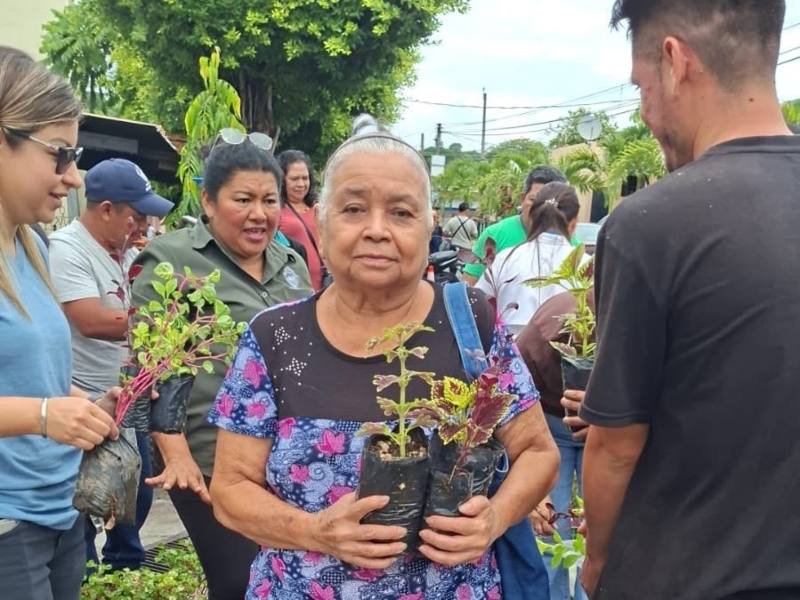 La población podrá acercarse a los puntos habilitados para recibir árboles o plantas de diferentes especies.