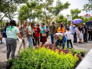 El stand de MOPT Verde entregará árboles y plantas en distintos puntos del país el 30 y 31 de mayo.