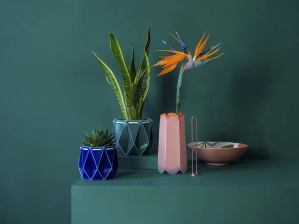 Una planta consume durante la noche hasta mil veces menos oxígeno que una persona mientras duerme.