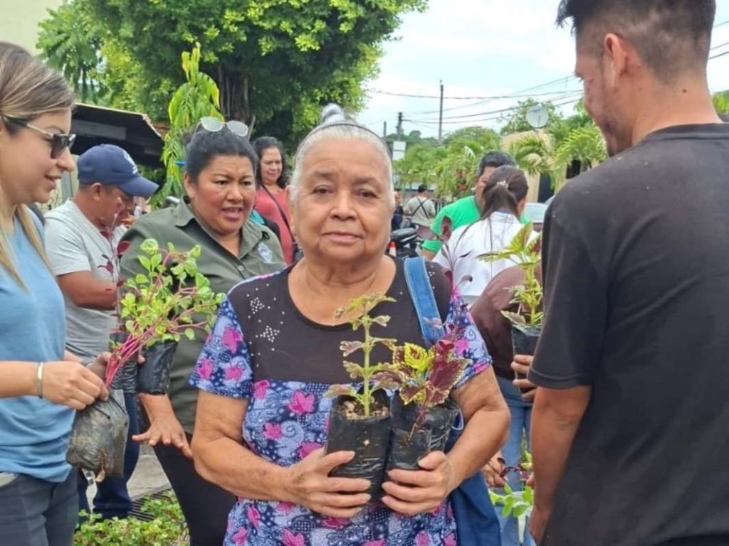 El MOPT mantiene habilitados puntos de entrega gratuita de árboles y plantas en distintos municipios del país. Foto/ Cortesía