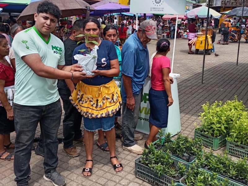 La iniciativa busca fomentar la reforestación y el cuidado de los recursos naturales en El Salvador.