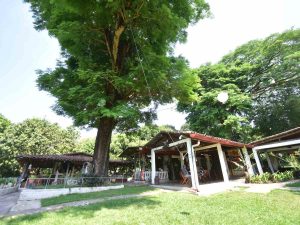 ¿Dónde disfrutar comida típica, café de finca y naturaleza en Suchitoto? Conoce Ciudad Vieja