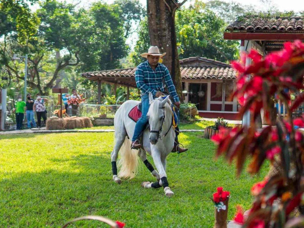 Los shows de caballos de Alta Escuela son una de las principales atracciones de Ciudad Vieja.