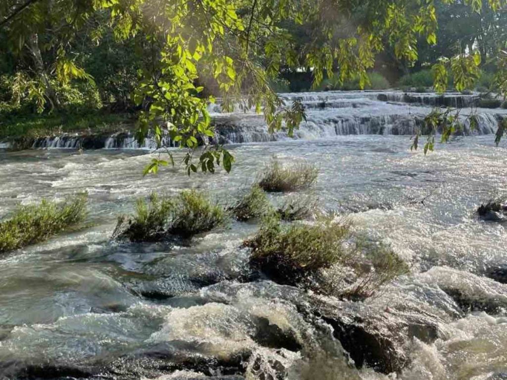 Naturaleza, sombra y tranquilidad se unen en este hermoso rincón natural salvadoreño.