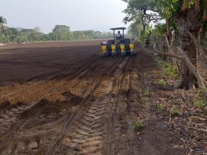 El Viceministro de Agricultura, Óscar Domínguez, informó que El Salvador acelera la siembra de maíz bajo sistemas de riego ante el pronóstico del fenómeno climático del “Súper Niño”.