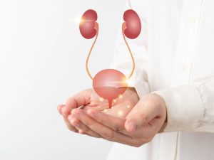 Cambiar hábitos es clave contra la cistitis recurrente