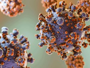 virus Hantavirus