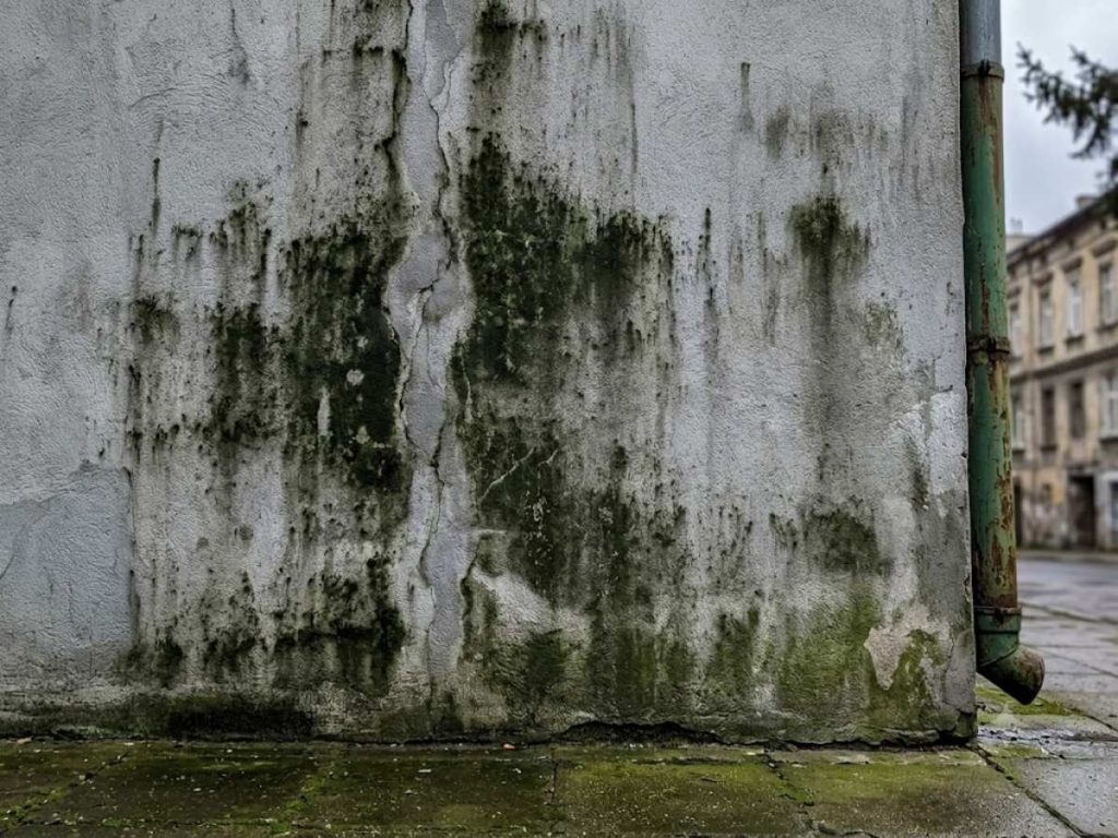 Humedad-lluvia-pared-moho-filtración