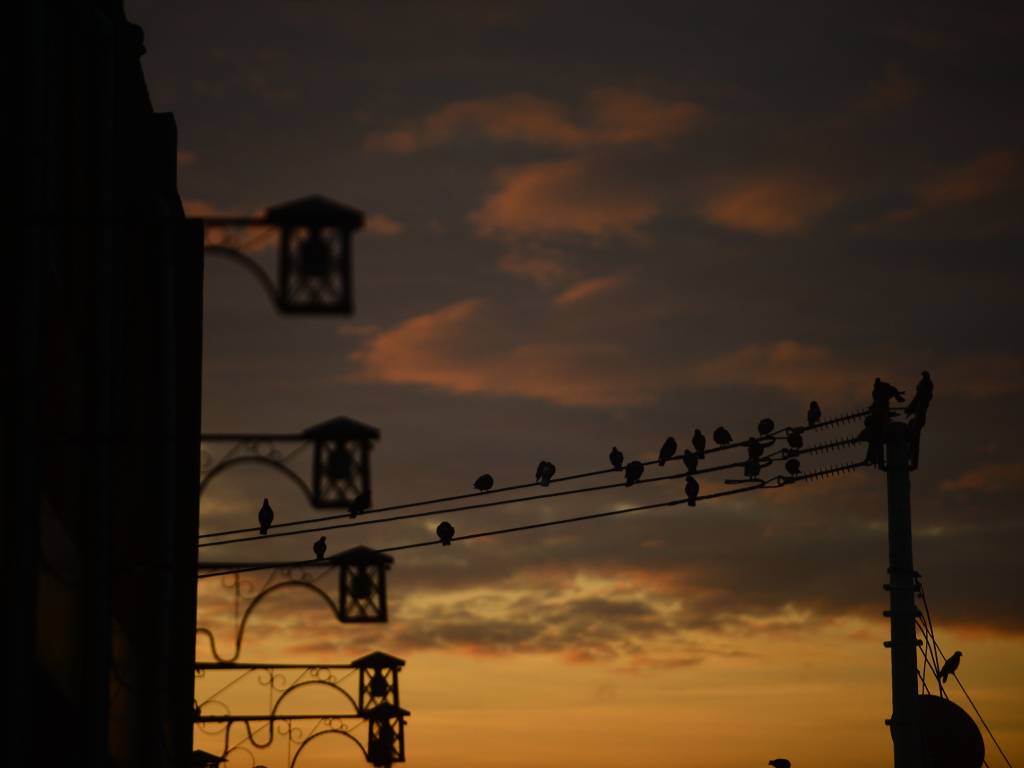 LM-Amanecer- Centro Histórico- Monumentos- Catedral- Plaza- Calles- Biblioteca