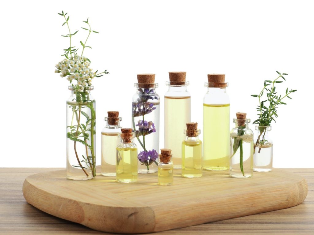 Para ahuyentarlas, se pueden usar remedios caseros como aceites naturales de lavanda, eucalipto, laurel o menta.