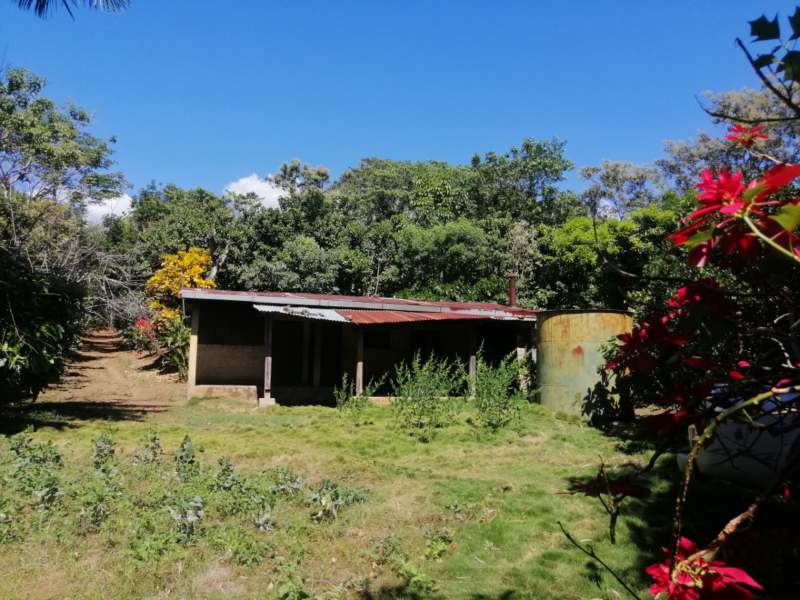 El Banco de Fomento Agropecuario ofrece a la venta propiedades recuperadas en distintos puntos del país, entre ellas viviendas, terrenos agrícolas, fincas e inmuebles comerciales. Foto / Cortesía BFA.