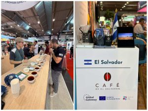 Los cafés con denominación de origen suman valor a la apuesta salvadoreña por conquistar nuevos mercados.