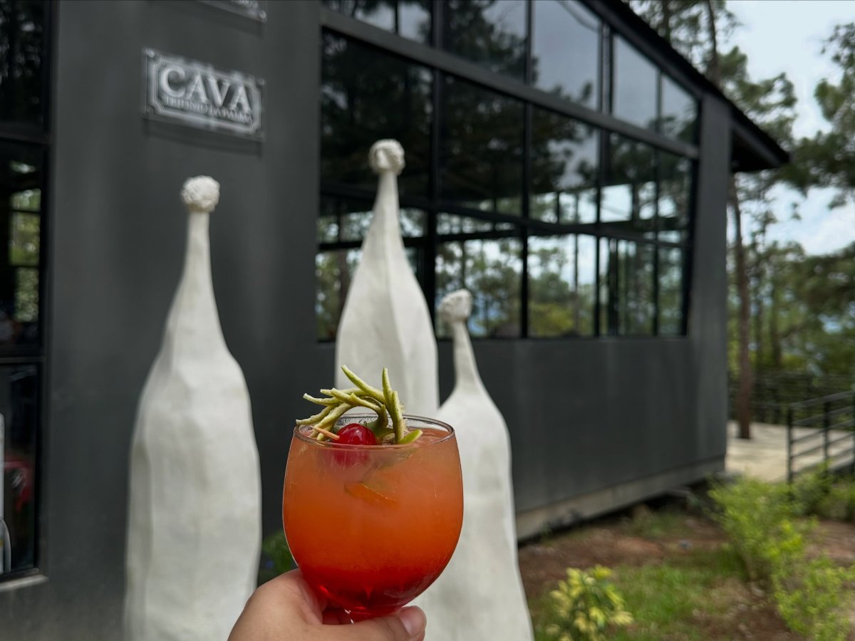 Entre bosques, tradición y café, viví una experiencia única en Chalatenango.
