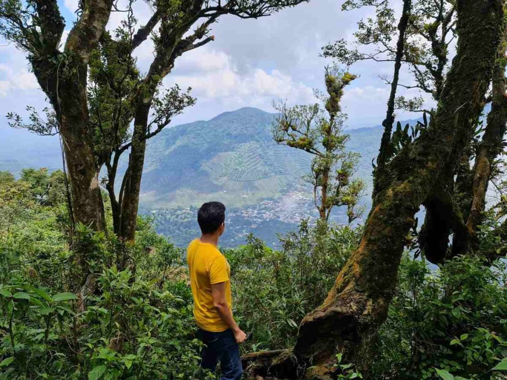 Senderos entre cafetales y montaña.