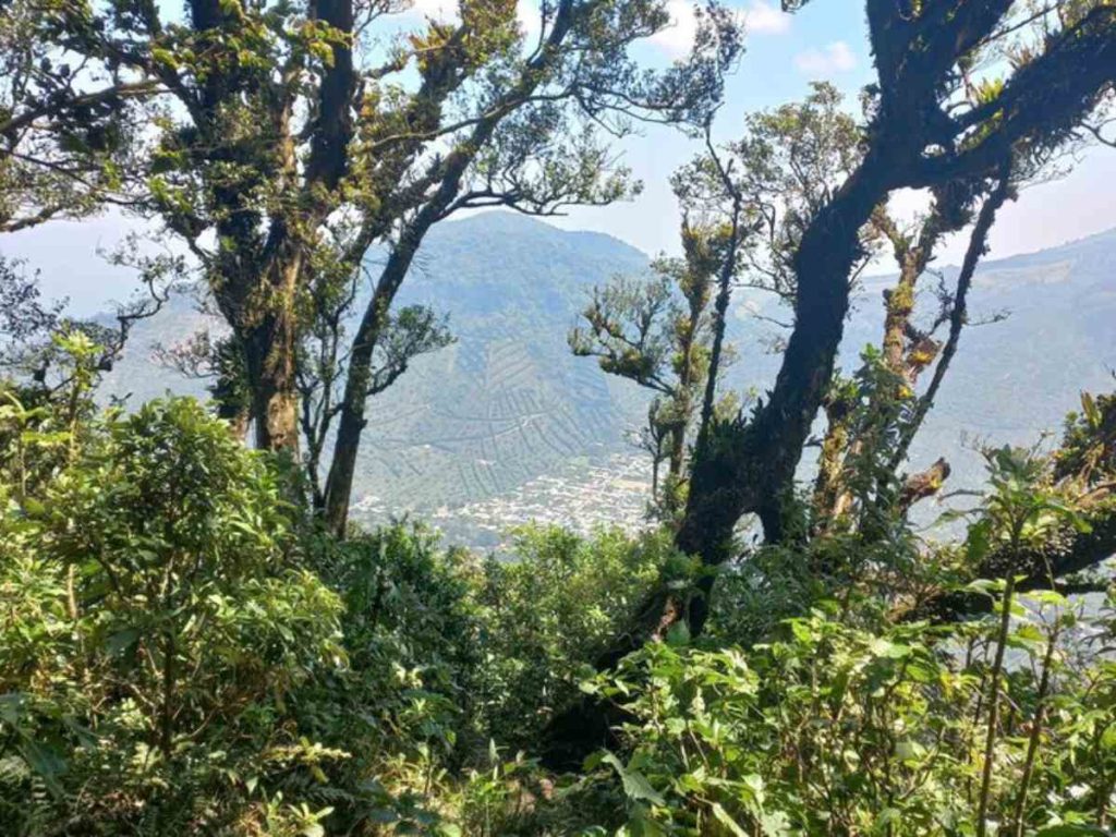 Paisajes del valle de Juayúa.