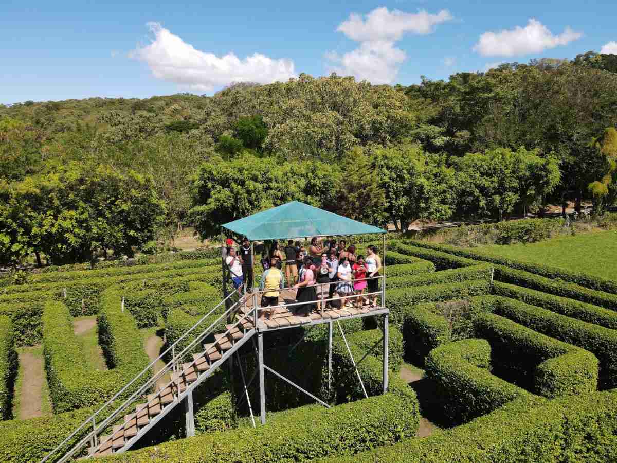 Viví la adrenalina del canopy con vistas espectaculares del entorno.