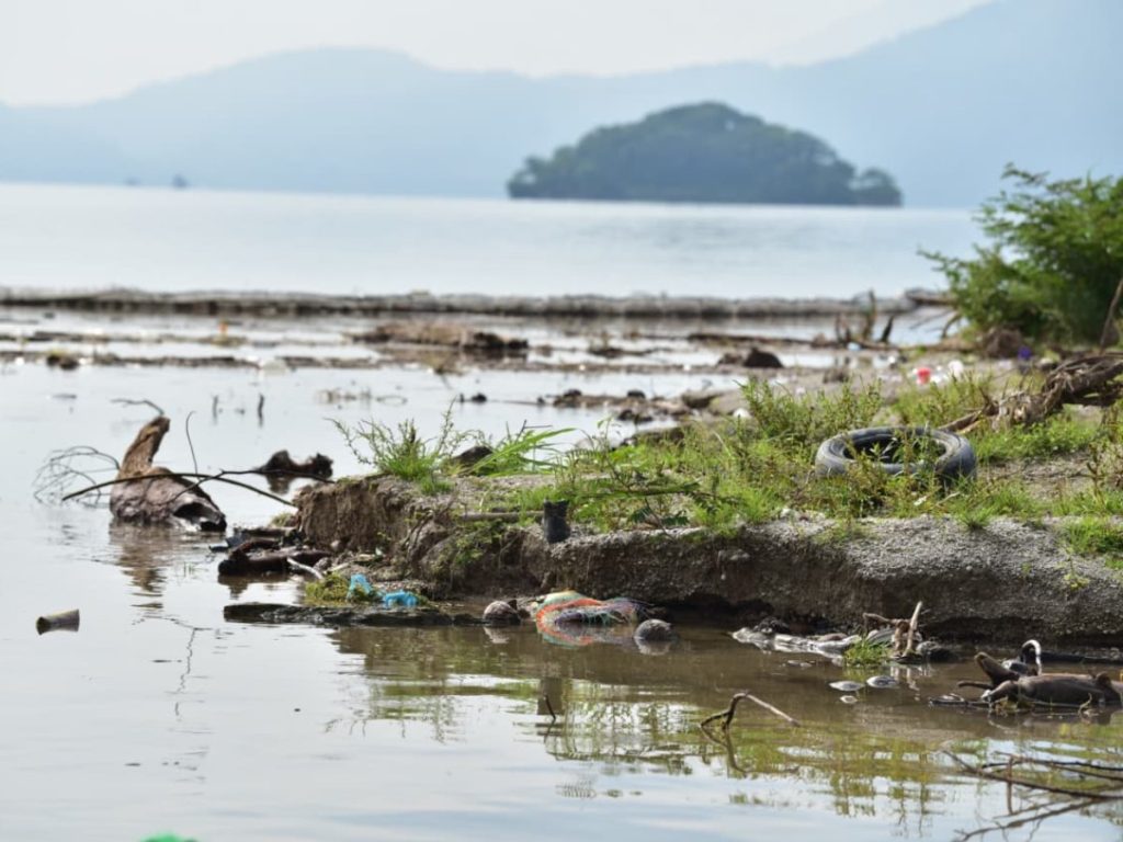 La acumulación de desechos flotantes representa una amenaza para la fauna que habita y sobrevuela el lago de Ilopango. Fotografía/ Miguel Lemus