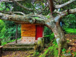 ¿Buscás aventura y naturaleza? 6 cosas que podés hacer en el Ecoparque El Espino