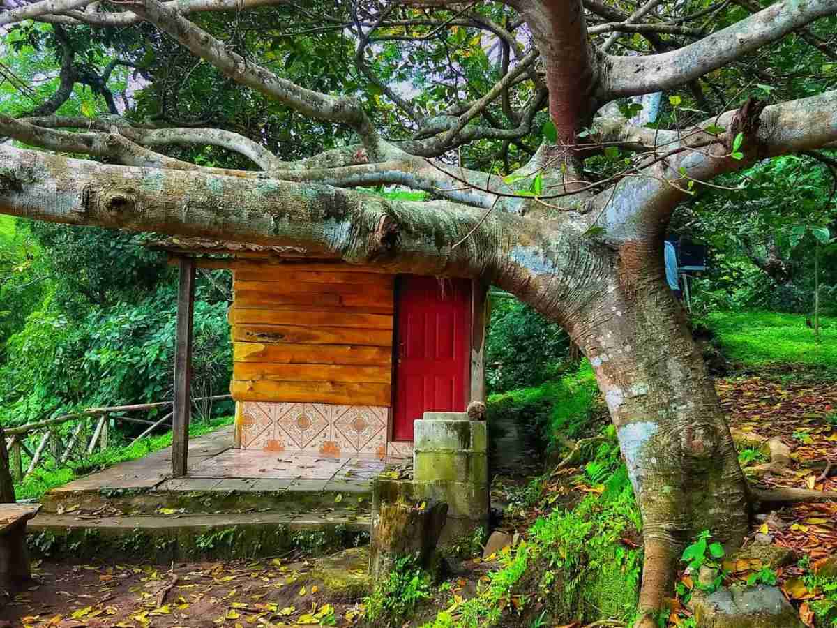 Los senderos de El Espino permiten descubrir paisajes naturales y vistas panorámicas de San Salvador.