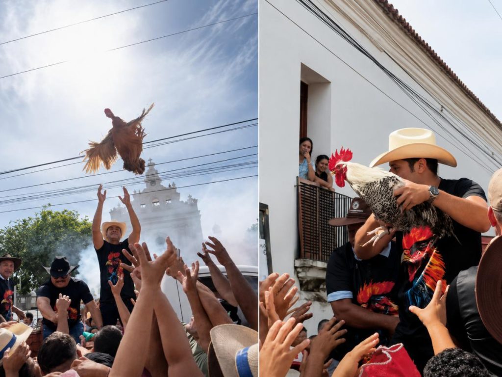 Durante el desfile del gallo en Metapán, varios gallos fueron lanzados desde un vehículo municipal hacia el público.