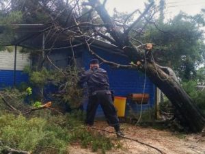 árbol cayó sobre una escuela y resultó con daños en el techo, esto tras las lluvias por la tormenta Cristina