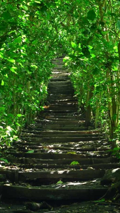 fotogaleria-parque-el-espino01