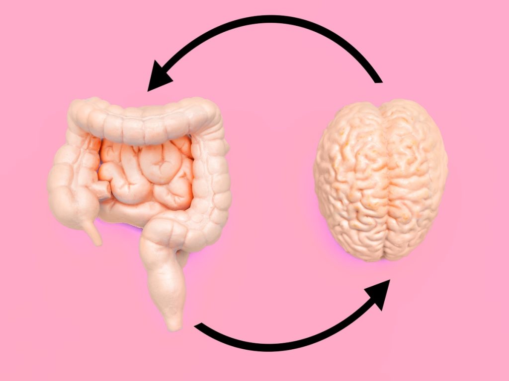 El eje intestino-cerebro muestra cómo la salud digestiva puede influir en el bienestar emocional y mental.