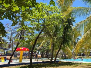 isbm-metalio-precios
