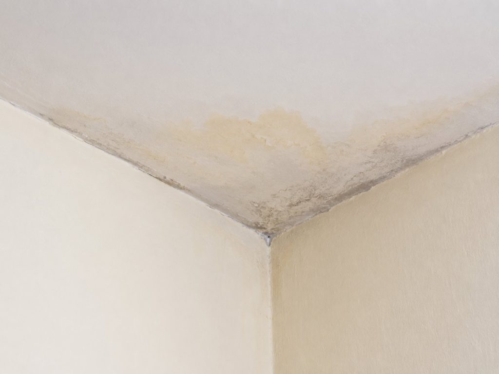 moho-humedad-filtración-pared