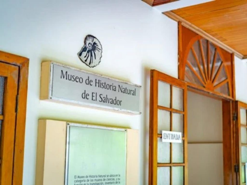 El Museo de Historia Natural ofrece una experiencia para toda la familia.