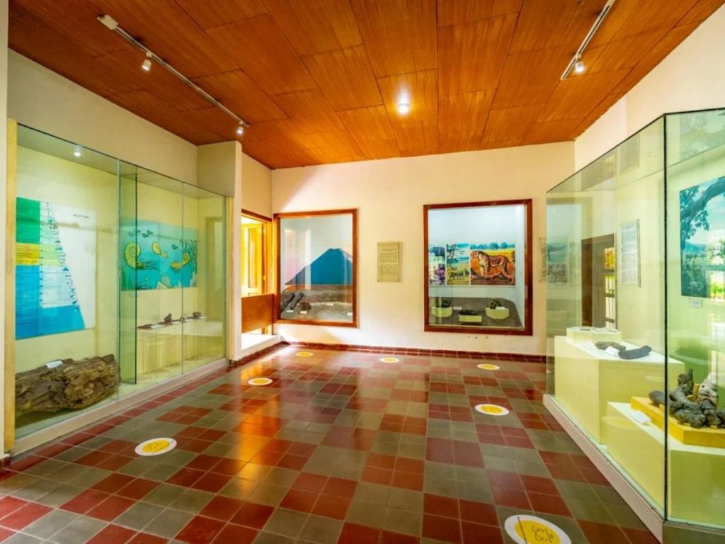 Visitá el MUHNES y explorá el pasado prehistórico de El Salvador.