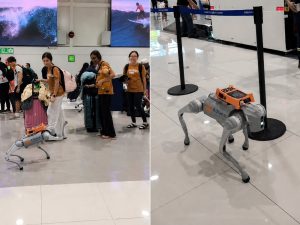 perro-robot-aeropuerto