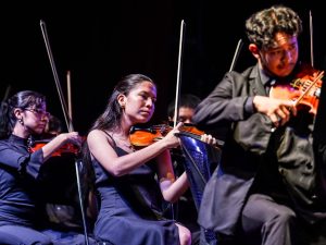 Recitales gratis de violín, piano, guitarra y más llegan a la BINAES este junio