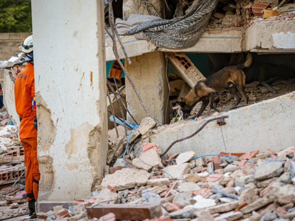 Rambo, el perro de búsqueda del contingente salvadoreño, participa en la localización de posibles sobrevivientes entre los escombros en Venezuela. Foto: Secretaría de Prensa
