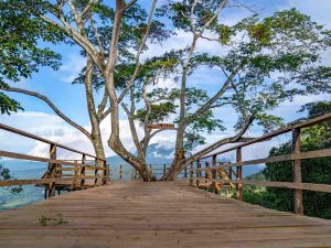turismo-de-aventura-en-alegria01