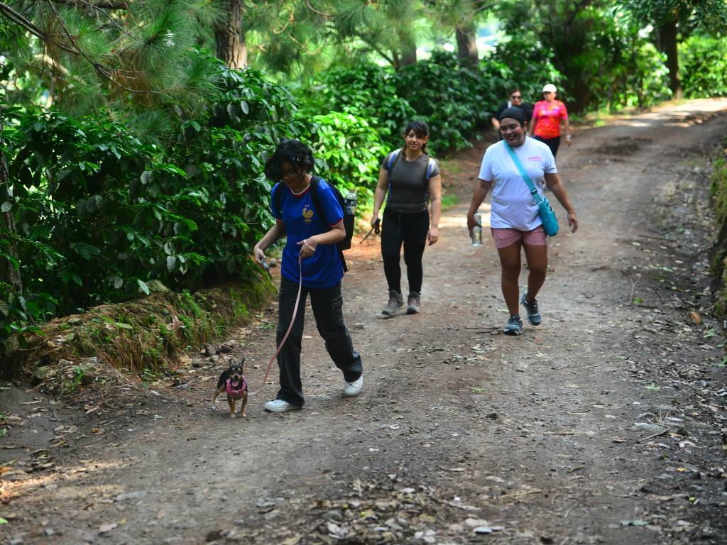 Acceso a la cima por la Finca San Antonio Amatepec.