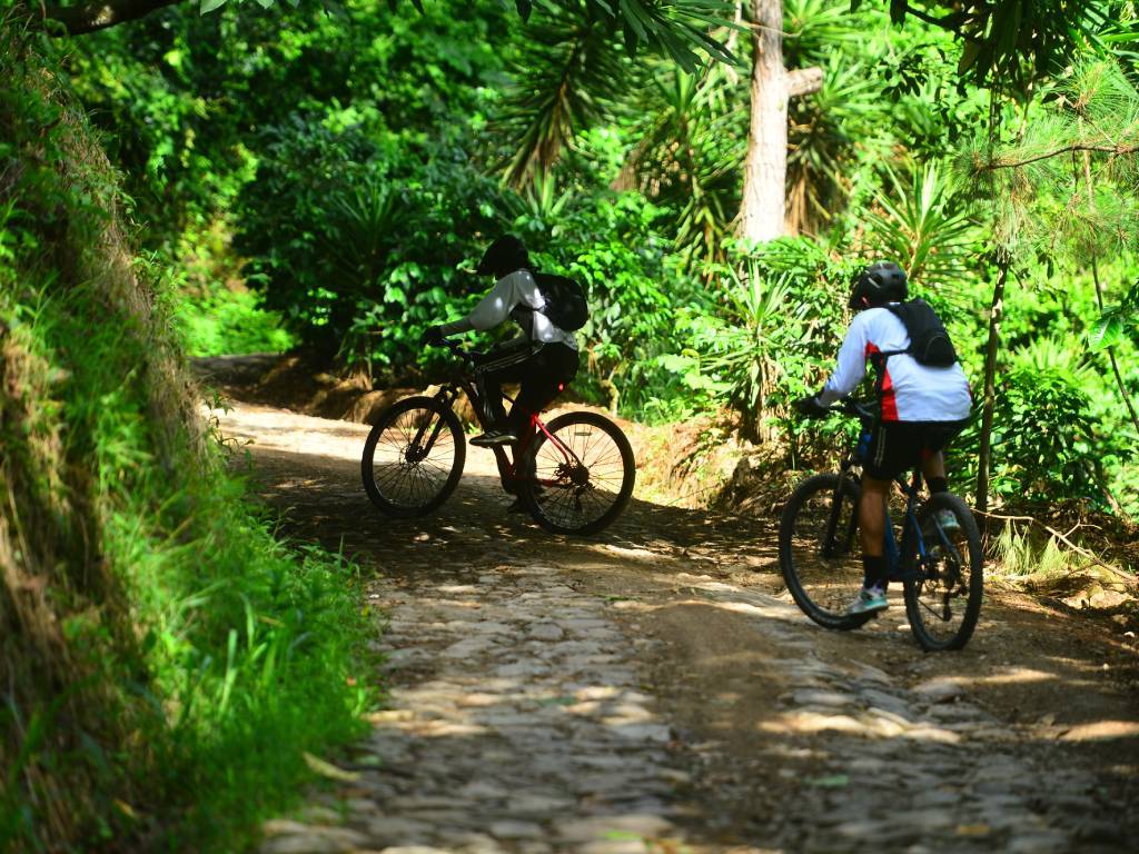Turistas realizan el ascenso a la cima en bicicleta.