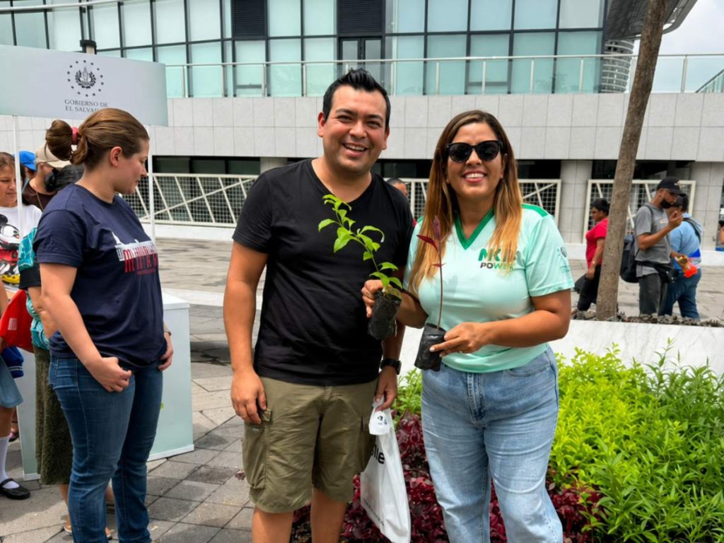 Árboles-plantas-medio-ambiente