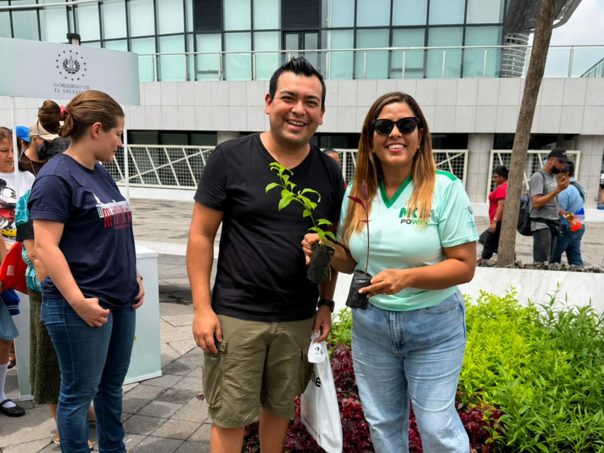Árboles-plantas-medio-ambiente