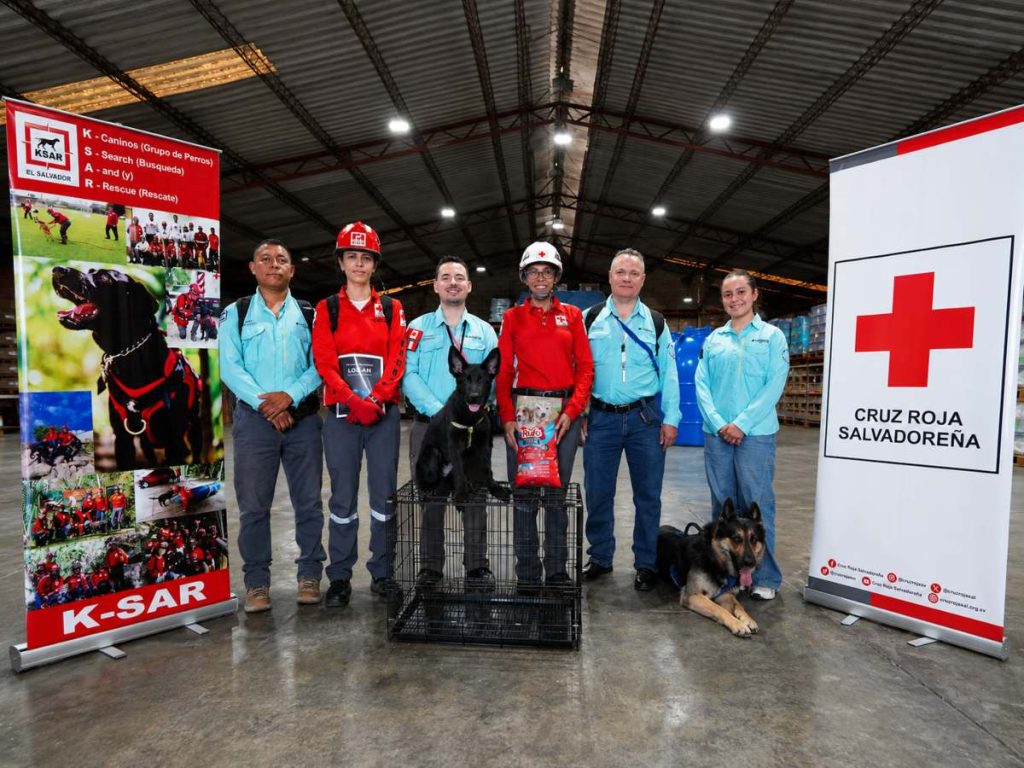 Balto Bernabé - Cruz Roja Salvadoreña - Unidad KSAR - perros de rescate